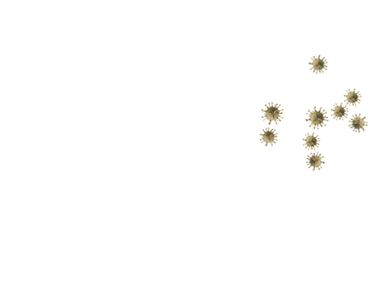 Becan